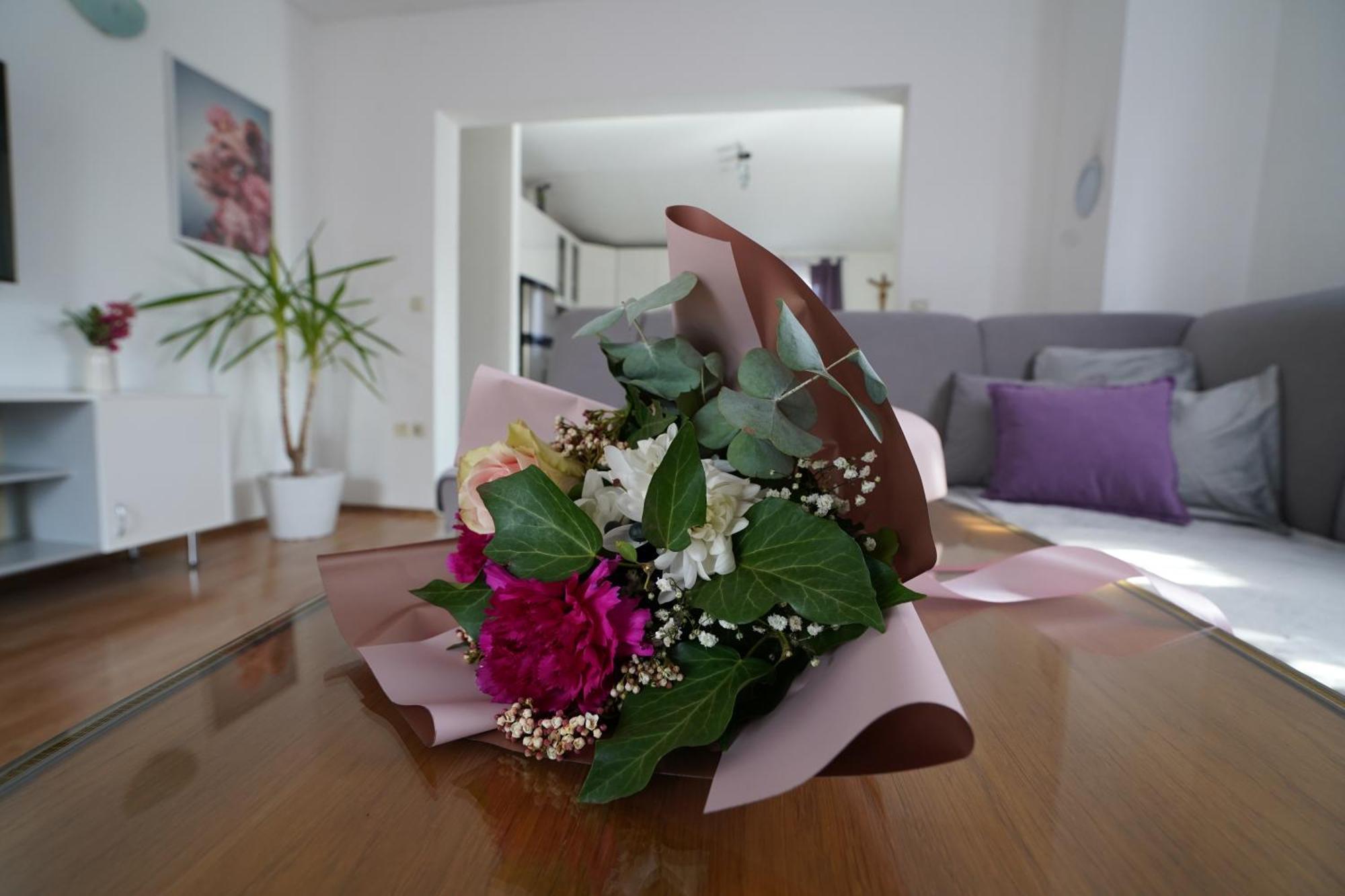 Apartman Marija 伊莫茨基 外观 照片